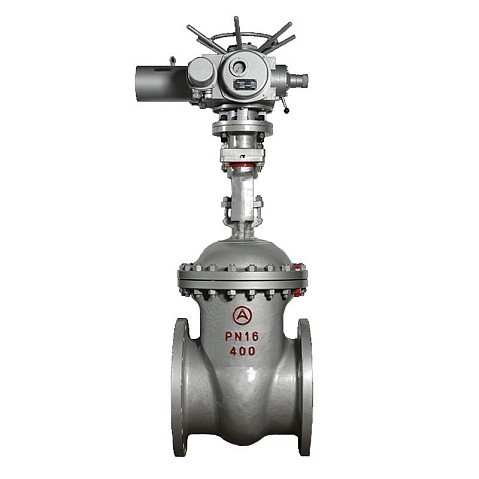 Задвижка стальная 30с941нж DN 600 PN 16 фланцевая под привод тип Г, класс ''А'' L=800мм САЗ АВАНГАРД купить в Ярославле | "Проконсим"