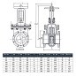 Задвижка чугунная 30ч6бр DN 100 PN 16(10) фланцевая параллельная ЛМЗ Семенов купить в Ярославле | "Проконсим"