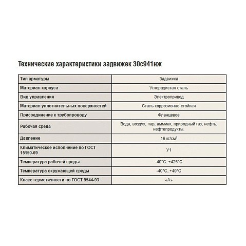 Задвижка стальная 30с941нж DN 80 PN 16 фланцевая под привод тип А, класс ''А'' L=210мм САЗ АВАНГАРД купить в Ярославле | "Проконсим"