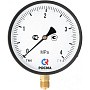 Манометр Росма ТМ-610Р 4,0 МПа /40 ат 150мм G1/2'' купить в Ярославле | "Проконсим"