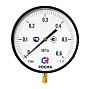 Манометр Росма ТМ-810Р.00 котловый, 250мм, 0-60кгс/см2, резьба M20x1,5, радиальный, класс точности 1,5 купить в Ярославле | "Проконсим"