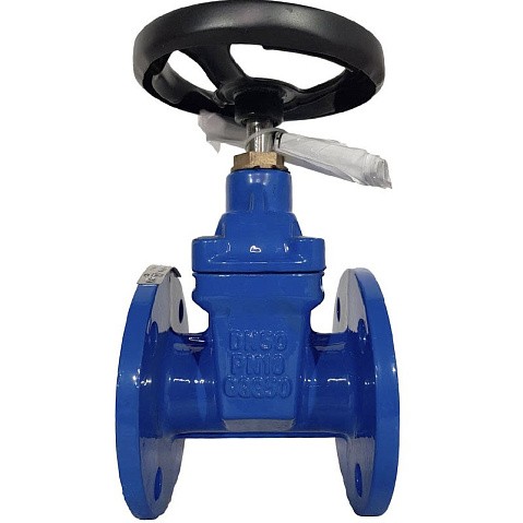 Задвижка чугунная 30ч39р DN 50 PN 10(16) с обрезиненным клином EPDM до 120гр. фланцевый ручной СИБЗТА купить в Ярославле | "Проконсим" (930130200)