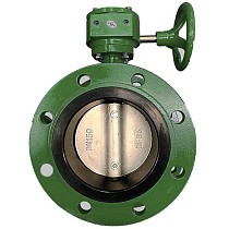 Затворы чугунные дисковые DN 50-1200 PN 16 фланцевые с чугунным диском с редуктором GALA Тип.2123-G купить в Ярославле | "Проконсим"
