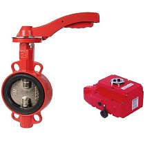 Затворы чугунные дисковые DN 50-300 PN 16 с электроприводом 220В диск из нержавеющей стали РАШВОРК купить в Ярославле | "Проконсим"
