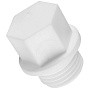Заглушка резьбовая ПП 15-1/2'' PN 25 с наружной резьбой белая РТП 10555