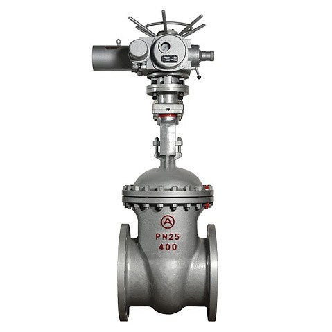 Задвижка стальная 30с964нж DN 600 PN 25 фланцевая под привод тип Г, класс ''А'' L=800мм САЗ АВАНГАРД купить в Ярославле | "Проконсим"