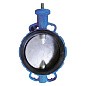 Затвор дисковый поворотный DN 250 PN 16 межфланцевый с диском из чугуна со штоком Seagull купить в Ярославле | "Проконсим"
