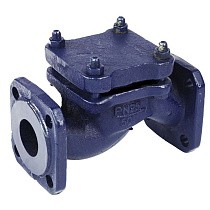 Клапаны обратные 16кч9нж подъёмные DN32-80 PN25 нержавеющая сталь фланцевые до 300гр. ЛУИДОР купить в Ярославле | "Проконсим"