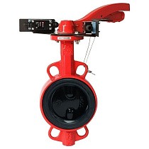 Затворы чугунные дисковые DN 50-250 PN 16 межфланцевые с концевиками и чугунным диском рычаг РАШВОРК купить в Ярославле | "Проконсим"