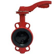 Затворы чугунные дисковые DN 50-300 PN 16 с электроприводом 220В и чугунным диском РАШВОРК купить в Ярославле | "Проконсим"