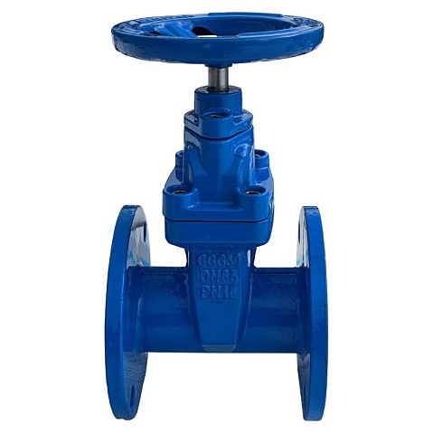 Задвижка чугунная 30ч39р DN 50 PN 10(16) с обрезиненным клином EPDM до 120гр. КНР купить в Ярославле | "Проконсим" (101469025)