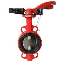 Затворы чугунные дисковые DN 50-250 PN 16 межфланцевые с концевиками диск из нержавеющей стали рычаг РАШВОРК купить в Ярославле | "Проконсим"