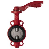 Затворы поворотные дисковые DN 40-250 PN 16 межфланцевые с чугунным диском рычаг Рашворк 200 купить в Ярославле | "Проконсим"