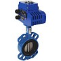 Затвор дисковый поворотный DN 50 PN 10(16) межфланцевый с диском из чугуна уплотнение-EPDM электропривод Э.Н-ЧФ-030 СИБЗТА купить в Ярославле | "Проконсим"